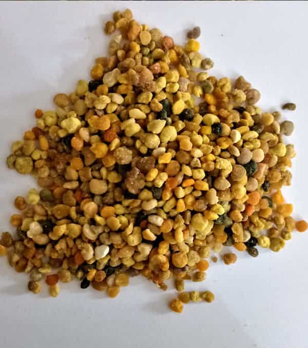تصویر 2 از قیمت گرده عسل طبیعی با کیفیت ارزان + خرید عمده